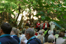 Maiandacht mit Krönung der Fatima-Madonna (Foto: Karl-Franz Thiede)